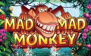 Mad Mad Monkey